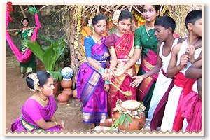 Pongal Festival